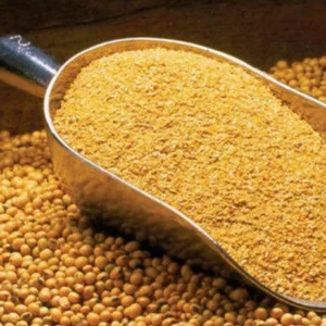 Soybean Meal